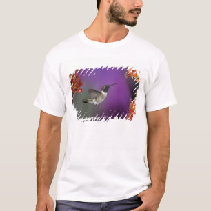 Black-chinned Humingbird, Archilochus alexandri, T-Shirt