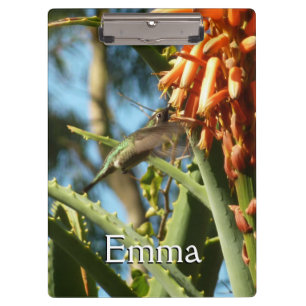 Black-Chinned Hummingbird in Flight Clipboard