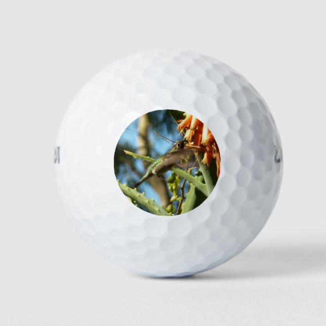 Black-Chinned Hummingbird in Flight Golf Balls (Front)