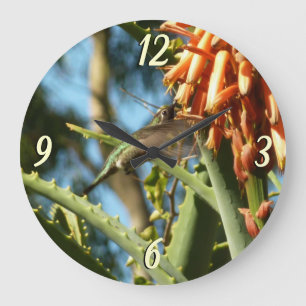 Black-Chinned Hummingbird in Flight Large Clock