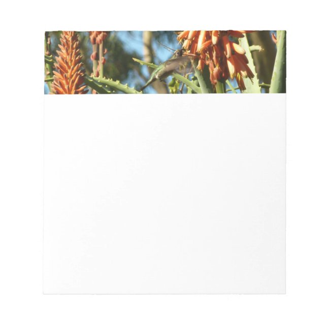 Black-Chinned Hummingbird in Flight Notepad (Front)