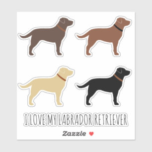 Black Chocolate Yellow and Red Labrador Retrievers