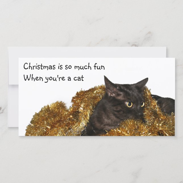 Black Christmas cat Holiday Card (Front)