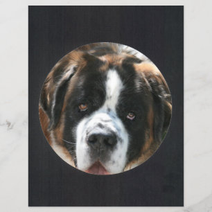 Black Circle Photo Frame  