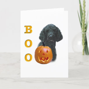 Black Coated Poodle Boo Card
