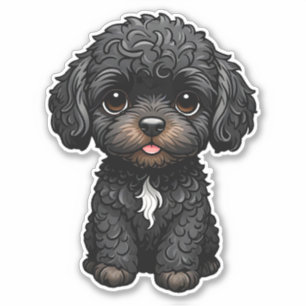 Black Cockapoo