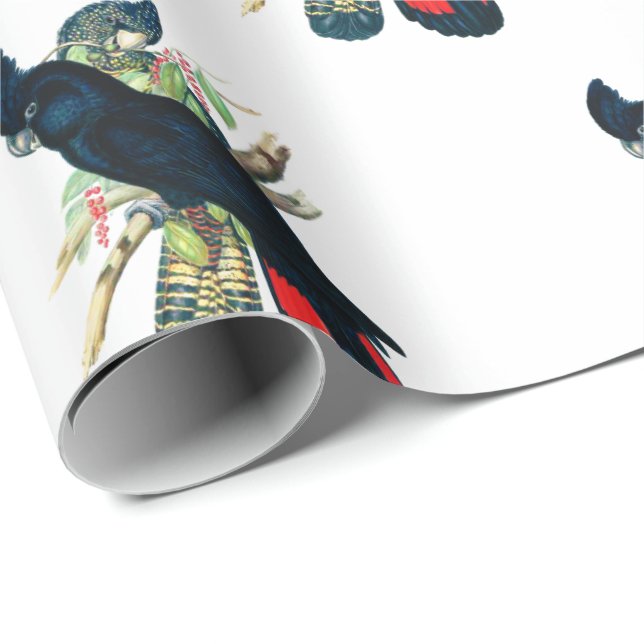 Black Cockatoo gift wrap (Roll Corner)