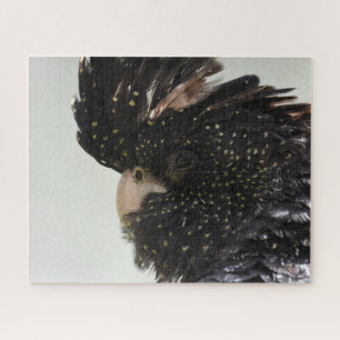 Black Cockatoo Jigsaw Puzzle