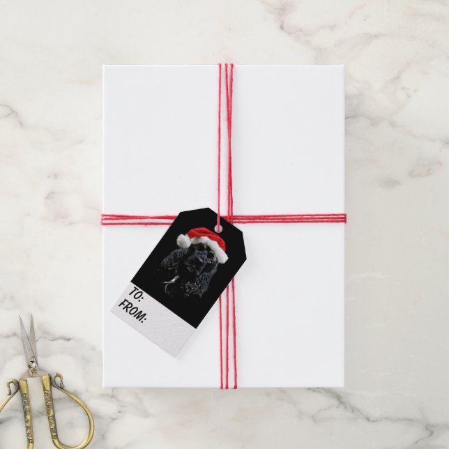 Black Cocker Spaniel Christmas Gift Tags (With Twine)