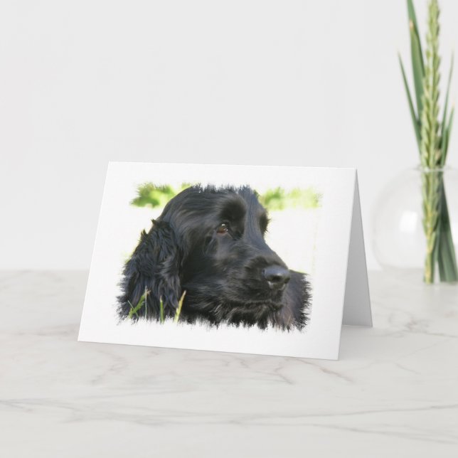 Black Cocker Spaniel Dog Greeting Card (Front)