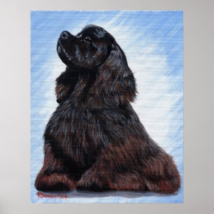 Black Cocker Spaniel Dog Portrait Poster