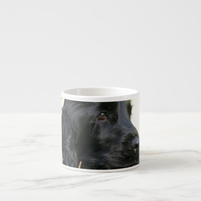 Black Cocker Spaniel Dog Speciality Mug (Front)