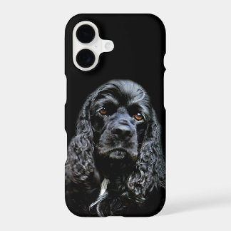 Black cocker spaniel face