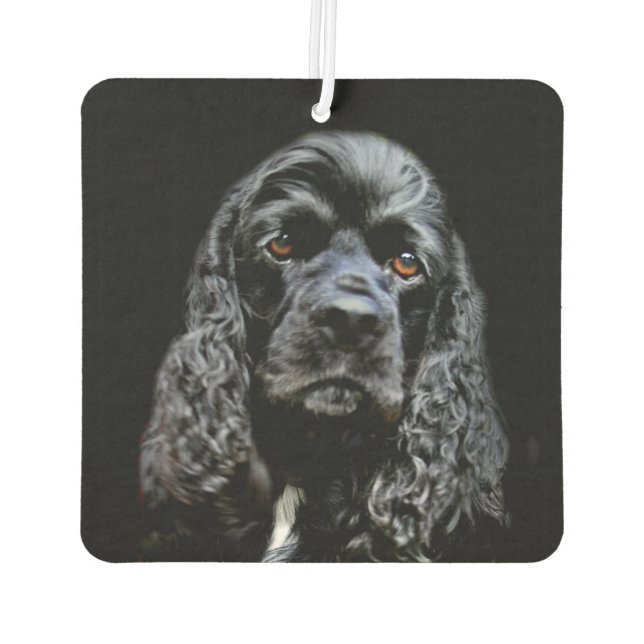 Black cocker spaniel face car air freshener (Back)