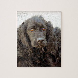 Black Cocker Spaniel  "Harley" Jigsaw Puzzle