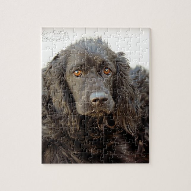 Black Cocker Spaniel  "Harley" Jigsaw Puzzle (Vertical)