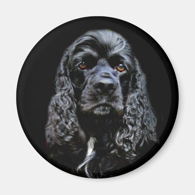 Black Cocker Spaniel Magnet (Front)