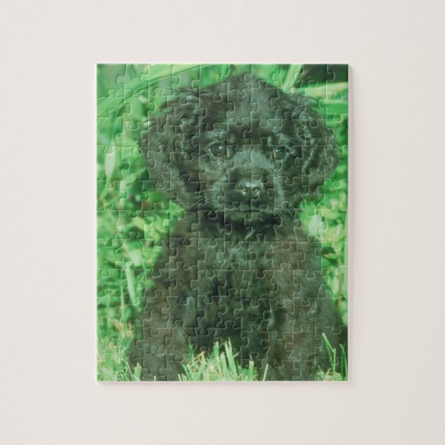 Black Cocker Spaniel Puppy Dog Puzzle (Vertical)
