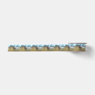 Black Colt White Horse Satin Ribbon