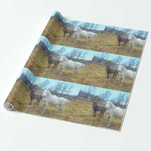 Black Colt White Horse Wrapping Paper