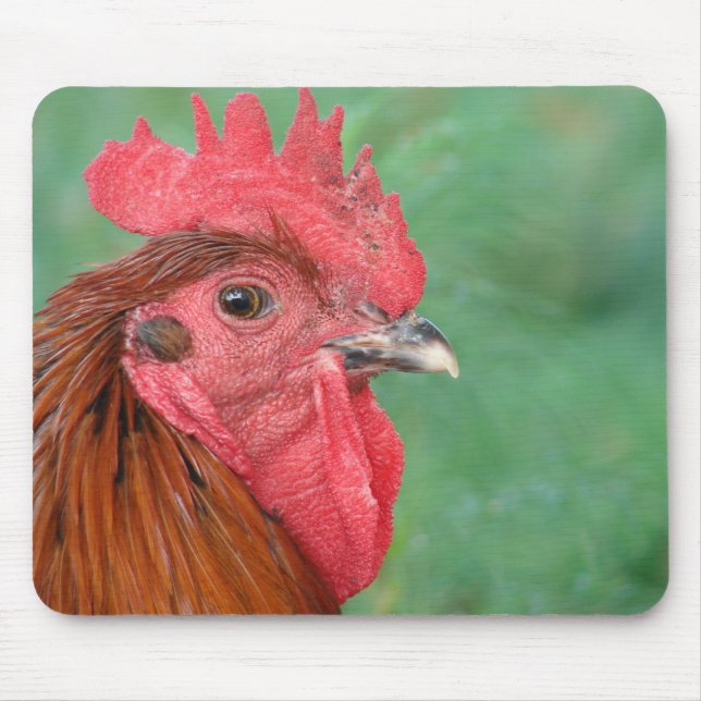 Black Copper Maran Rooster Mouse Pad (Front)
