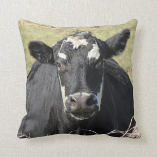 Black Cow Cushion