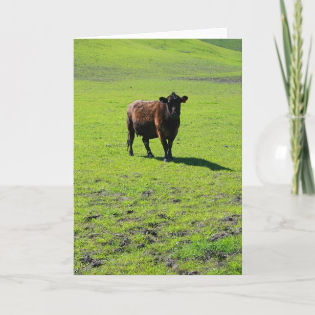 Black Cow Greeting Card,Note Card (Front)