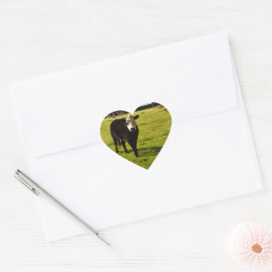 Black Cow With White Face And Mohawk, Heart Sticker