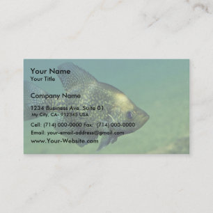 Black crappie business card