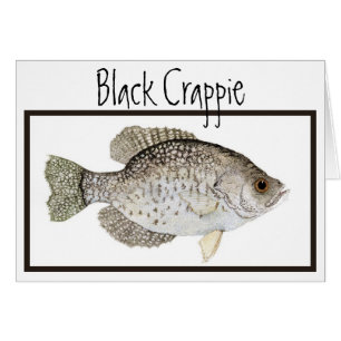 Black Crappie card