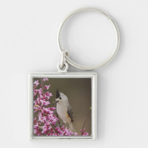 Black-crested Titmouse, Baeolophus Key Ring