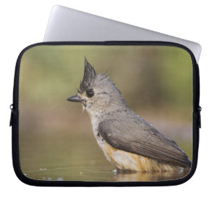 Black-crested Titmouse, Baeolophus Laptop Sleeve