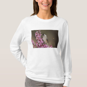 Black-crested Titmouse, Baeolophus T-Shirt