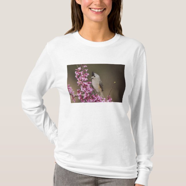 Black-crested Titmouse, Baeolophus T-Shirt (Front)