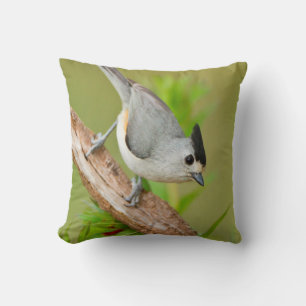 Black-Crested Titmouse Cushion