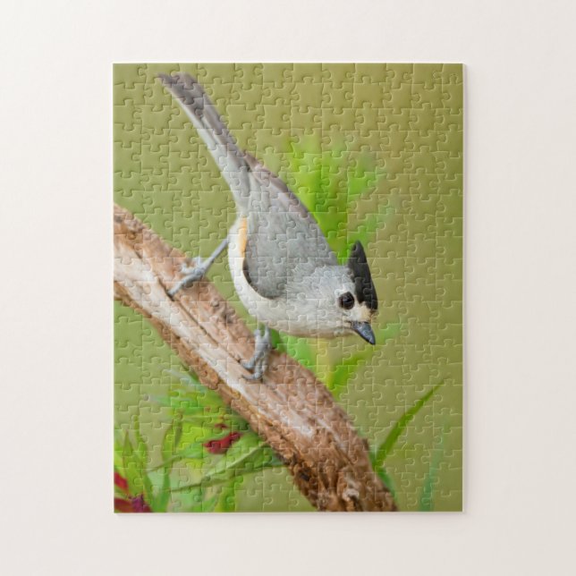 Black-Crested Titmouse Jigsaw Puzzle (Vertical)