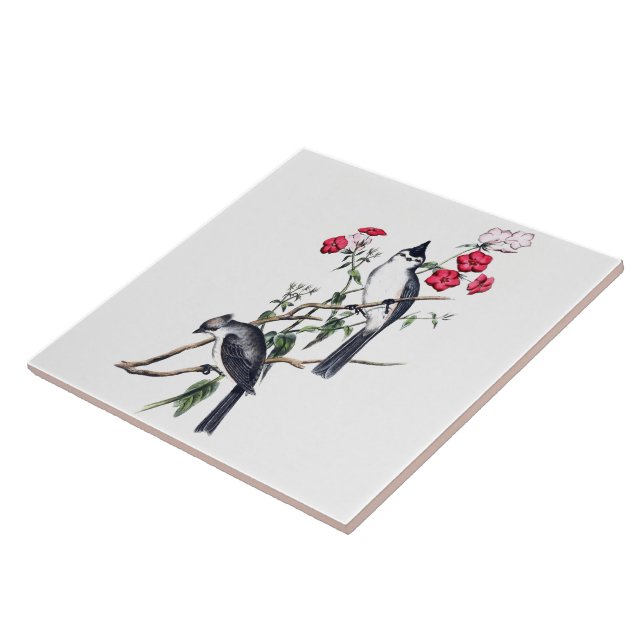 BLACK-CRESTED TITMOUSE tile (Side)