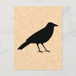Black Crow Bird on a Parchment Pattern. Postcard