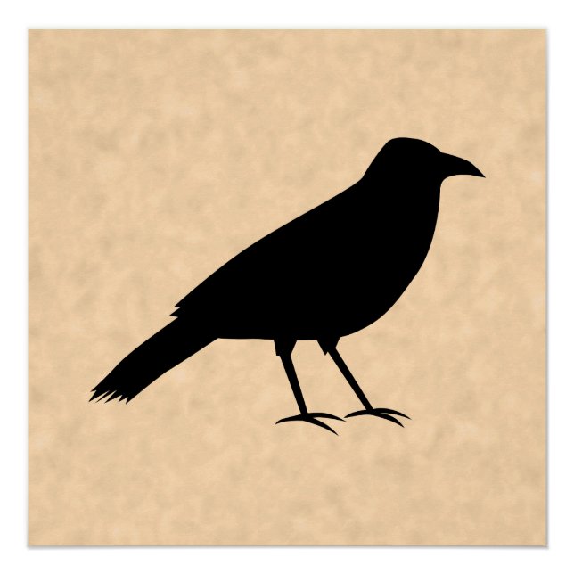 Black Crow Bird on a Parchment Pattern. Poster (Front)