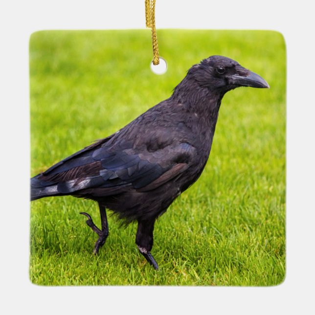 Black crow ceramic ornament (Front)