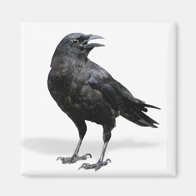 Black Crow Fridge or Office Magnet (Front)