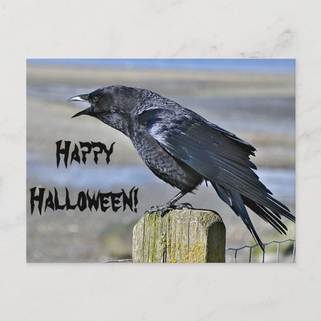 Black crow halloween postcard (Front)