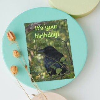 Black Crow in Tree Photo Birthday Card
