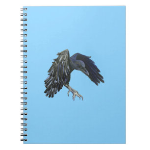 Black Crow Master of Time Illustration Sky Blue Notebook