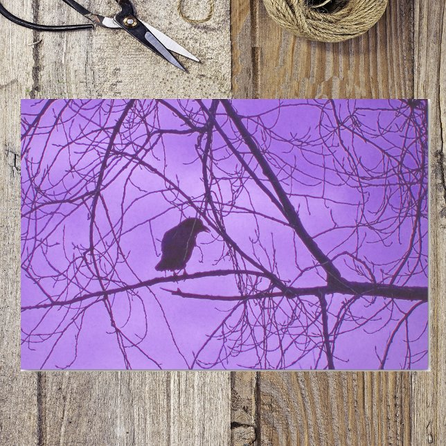 Black Crow Purple Sky Black Spooky Trees Tissue Paper (Silhouette single black crow in barren tree branches purple hazy sky on tissue wrapping paper.)
