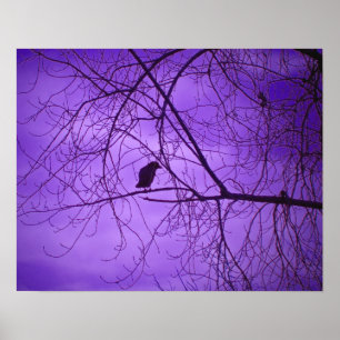 Black Crow Purple Sky Poster