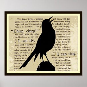 Black Crow~Sing Fly Chirp Vintage Book Poster
