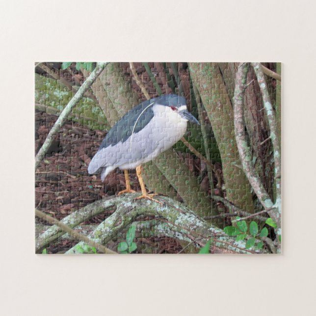 Black-Crowned Night Heron  - Bird - Puzzle (Horizontal)