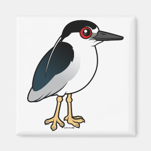 Black-crowned Night Heron Magnet