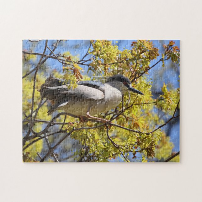 Black Crowned Night Heron puzzle (Horizontal)